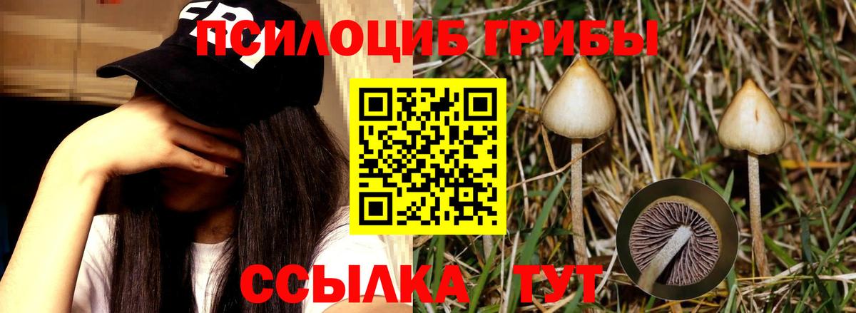 Псилоцибиновые грибы GOLDEN TEACHER Зеленокумск